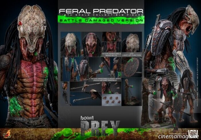 Hot Toys ha svelato l'action figure in scala 1/6 del Feral Predator di Prey (versione con danni da battaglia).
