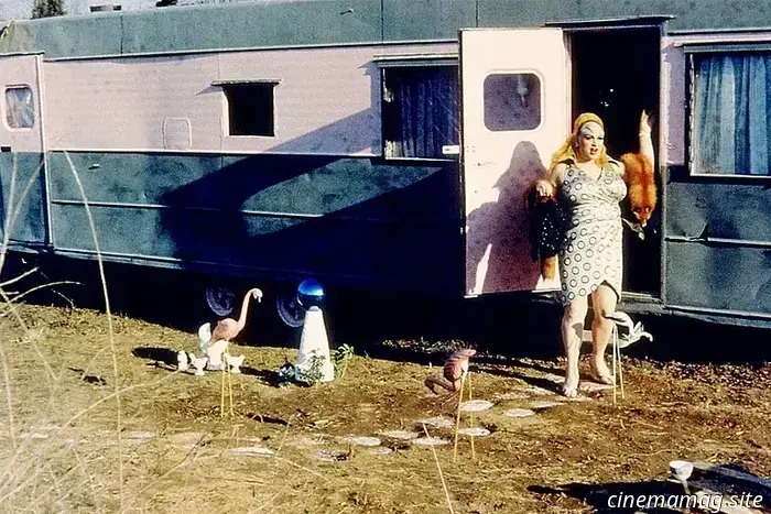 12 Comedy Films That Earned 30 Times Their Production Budget at the Box Office