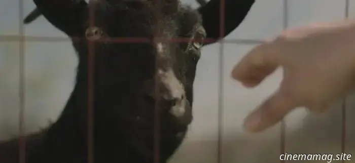 L'horror ispirato al Pifferaio di Hamelin, The Confession, ottiene un trailer e un poster.