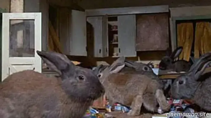 13 смертоносных фильмов о животных, в которых использовали настоящих живых животных