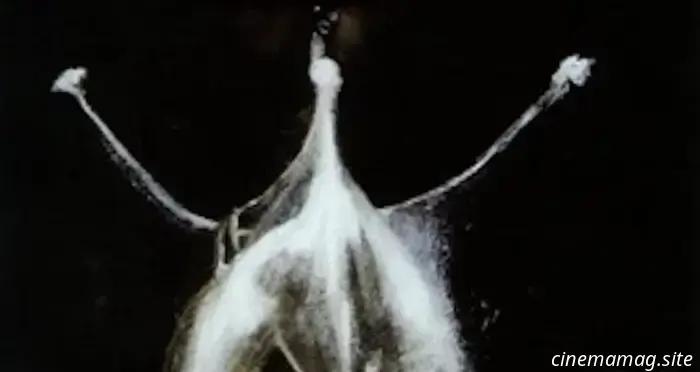 12 detalles sobre la franquicia Alien que una persona normal no sabría