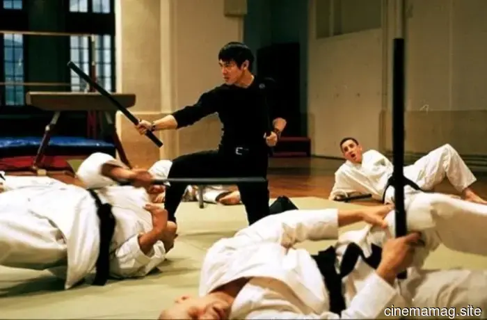 12 Must-Watch Martial Arts Films to Savor This March