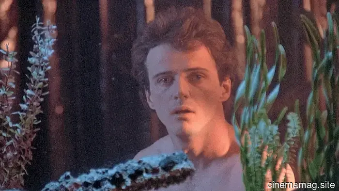 11 Adorable Brunette Friends in Films from the '80s