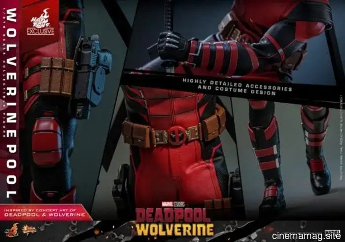Wolverinepool se une a la colección de Deadpool y Wolverine de Hot Toys con una figura de sexta escala.
