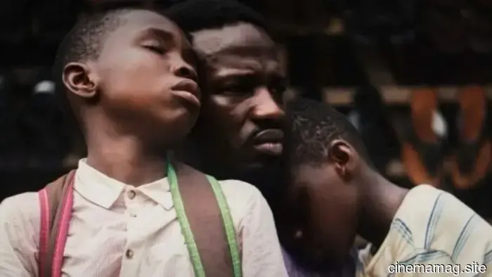 8 Must-See Recent Film Treasures