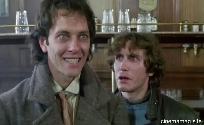 10 Must-Watch Movies About Holidays That Go Awry