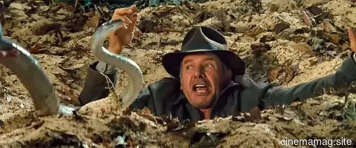 Ranking the Indiana Jones Films from Least to Most Favorable