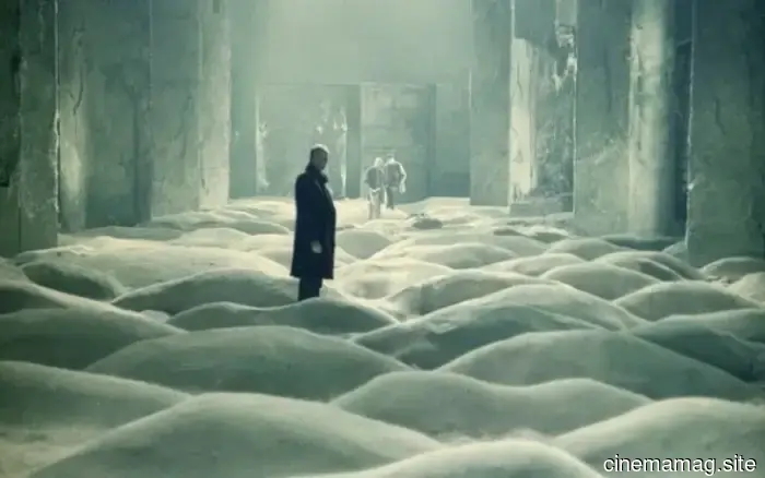 12 Must-Watch Movies Featuring Job Titles
