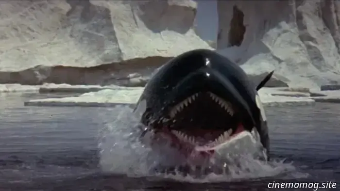 13 смертоносных фильмов о животных, в которых использовали настоящих живых животных