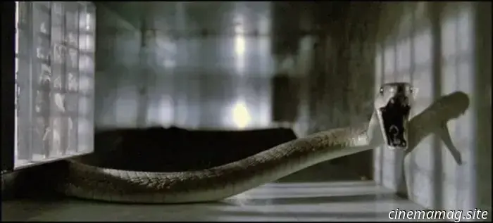 7 фильмов ужасов про змей, которые вы могли пропустить