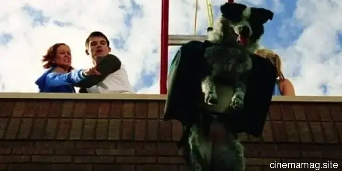 10 Perros de Película que Superaron Odds Imposibles