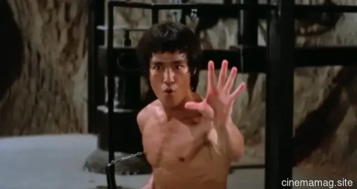 12 Must-Watch Martial Arts Films to Savor This March