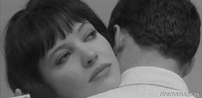 13 Films About the World's Oldest Profession That Present Things in a More Palatable Way