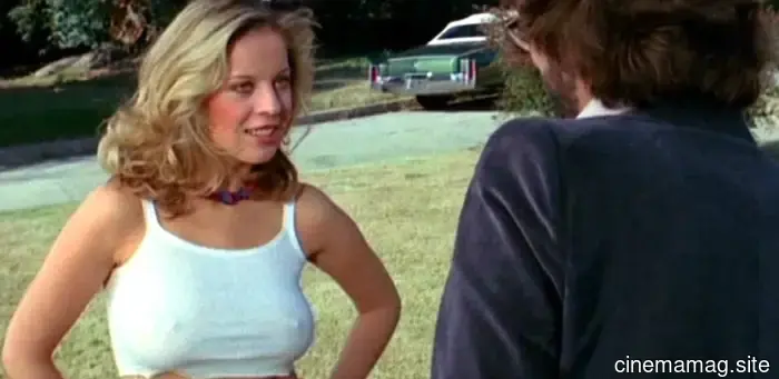 12 Disreputable '70s Films That Have No Regard for Your Respect