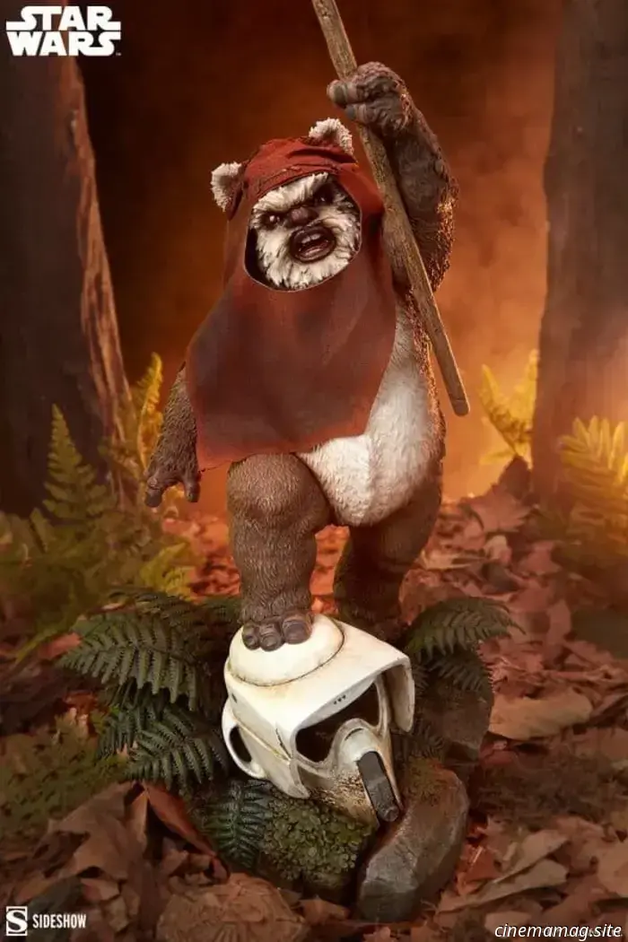 Wicket becomes intense for Sideshow's latest Star Wars Premium Format Figure.