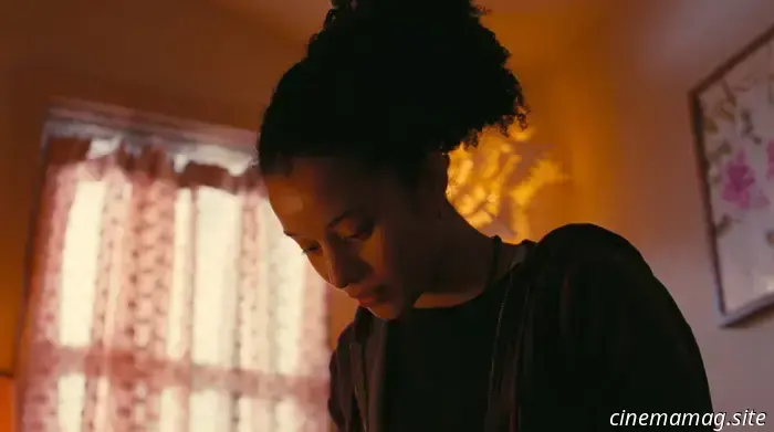 Лучшие фильмы 2025 года и самые ожидаемые фильмы 2026 года