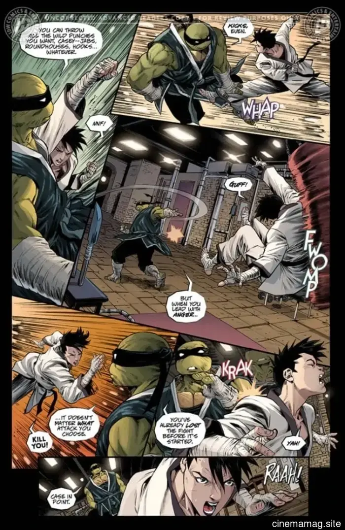 Vista previa del cómic – Tortugas Ninja: El Último Ronin – Día de Entrenamiento #1