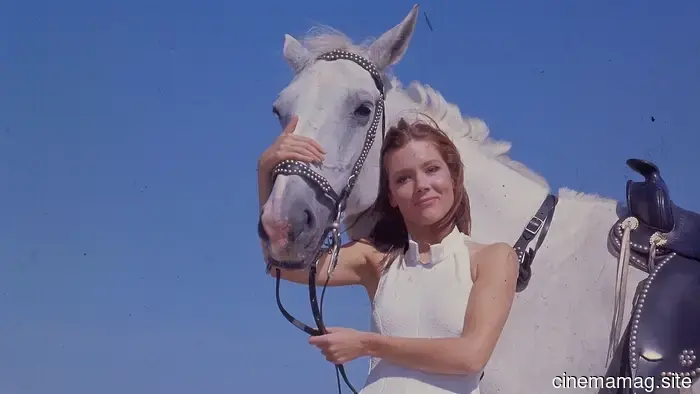 12 TV Shows from the 1960s That Remain Enjoyable to Watch