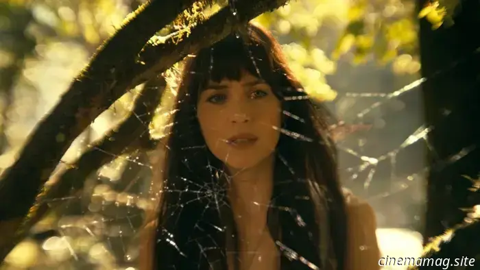 Dakota Johnson todavía no tiene tiempo para la locura de Madame Web :" No fue mi culpa"
