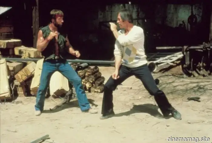 How Orion Pictures Mastered the Chuck Norris Film