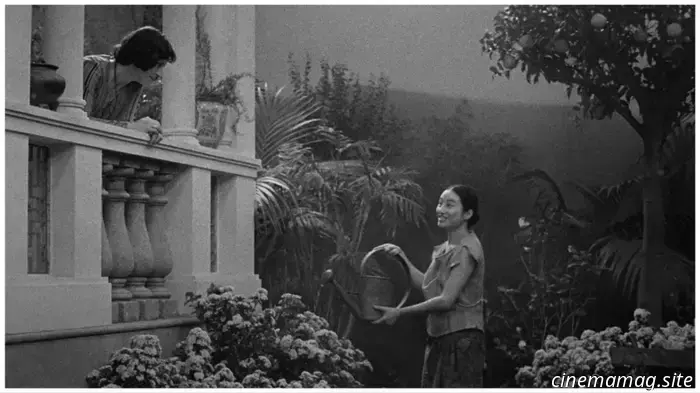 La migliore fotografia del 2025