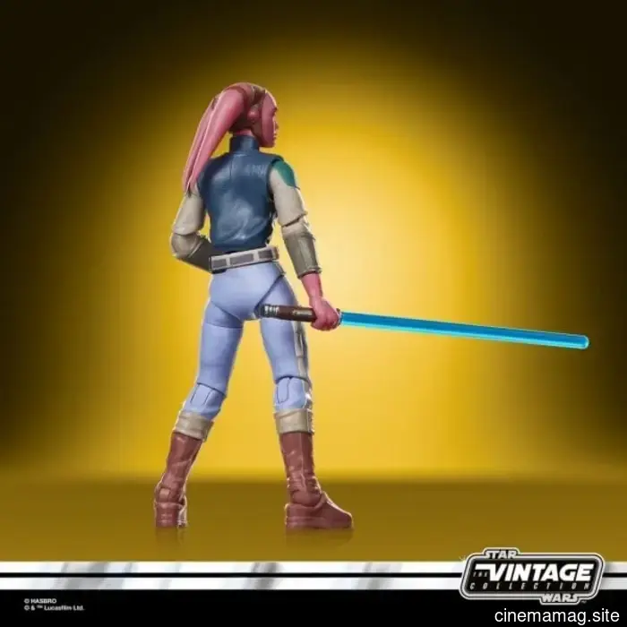 Hasbro has revealed new figures from Star Wars: The Black Series and Vintage Collection.