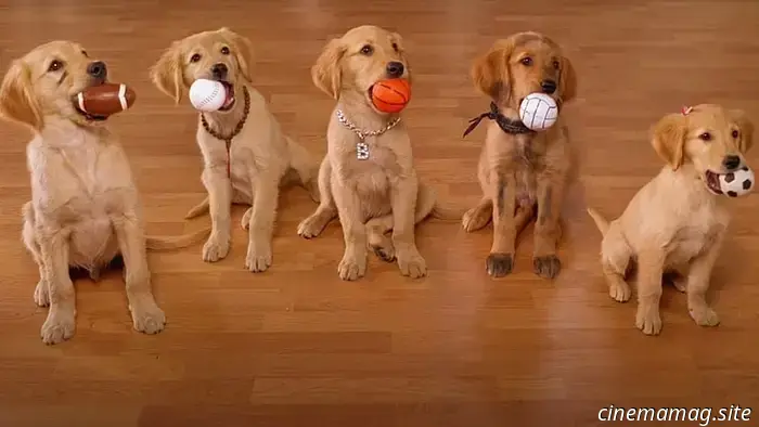 Las 12 mejores películas de perros parlantes que hemos visto