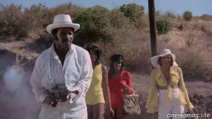 12 Sleazy Movies from the 1970s That Disregard Your Respect