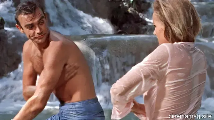 The 17 Most Persuasive Movie Couples in Cinematic History