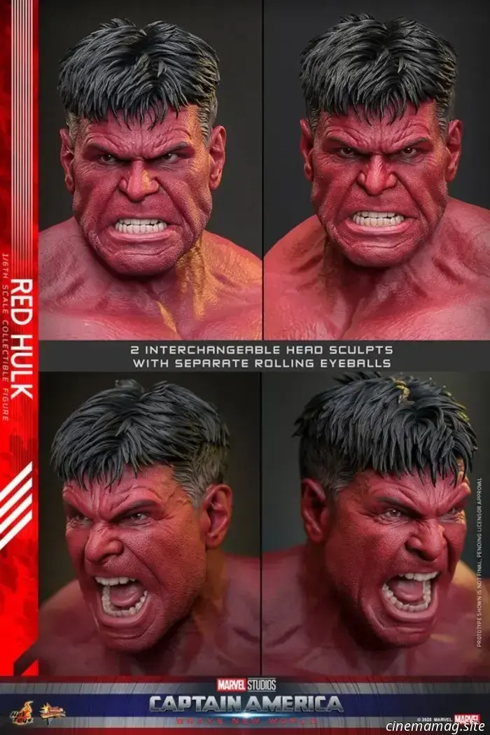 Hot Toys releases the sixth scale figure of Red Hulk from Captain America: Brave New World.