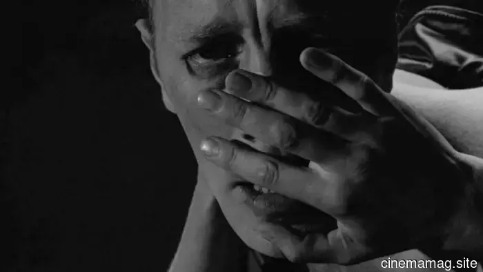 10 Must-Watch Movies About Holidays That Go Awry