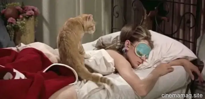 13 Films About the World's Oldest Profession That Present Things in a More Palatable Way