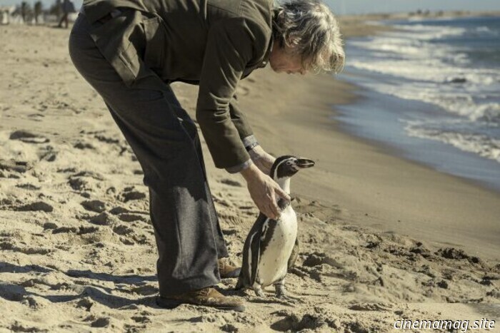 The Penguin Lessons (2025) - Film Review