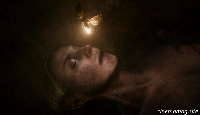 The Shruds (2025) - Recensione del film