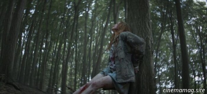 Reseña de la película – The Strangers: Capítulo 2 (2025)