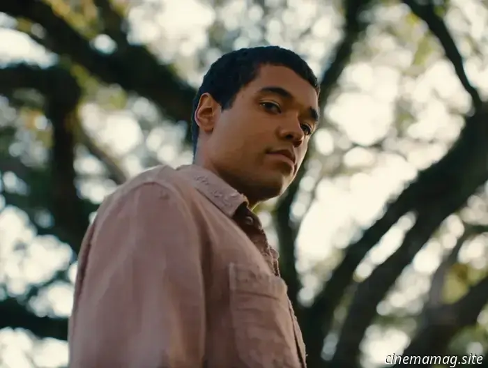 Novedad en transmisión: Jia Zhangke, Nickel Boys, Sacramento, The Friend y más