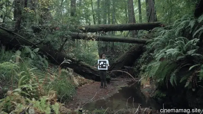 8 film da vedere al First Look 2026 del MoMI