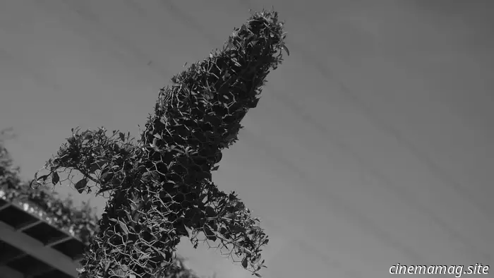 Entre la quietud y la resistencia: el documental experimental de Zhengyang Du "Beings" - MovieMaker