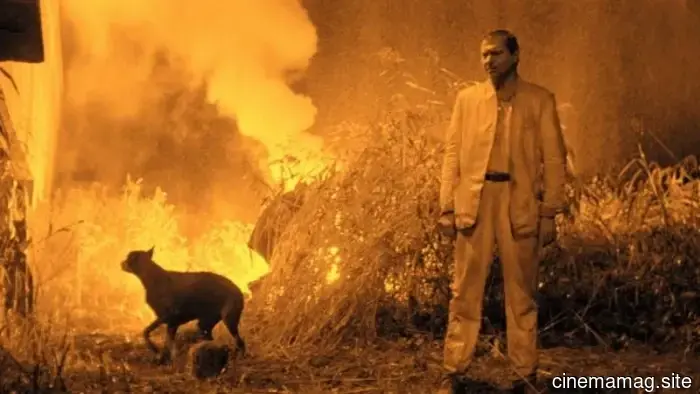 8 Must-See Nordic Noir Films