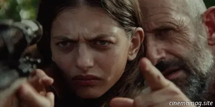 40 Film da vedere quest'estate