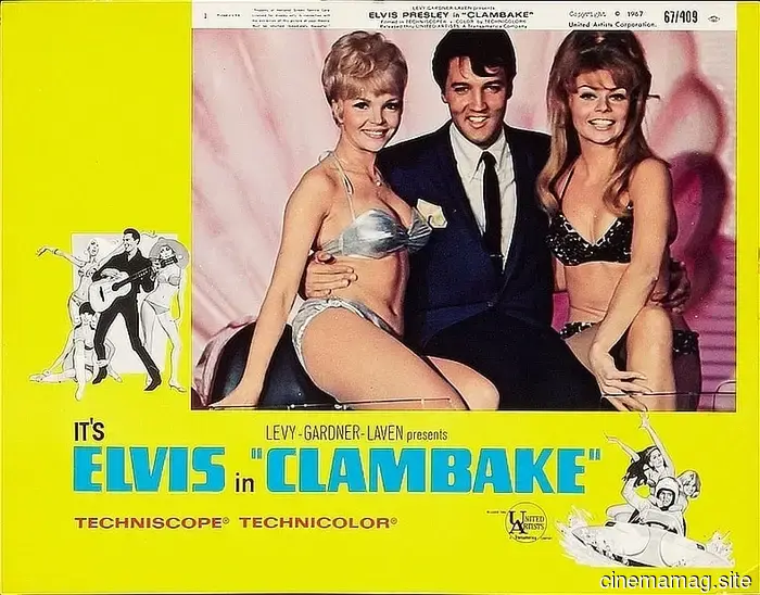 Our Top 12 Movies for Beach Parties