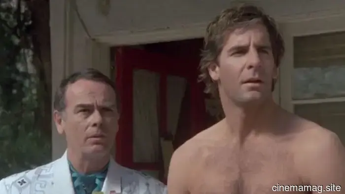 Il Salto Più Lungo: Il Finale di Quantum Leap è Ancora un Colpo al Cuore Trent'Anni Dopo