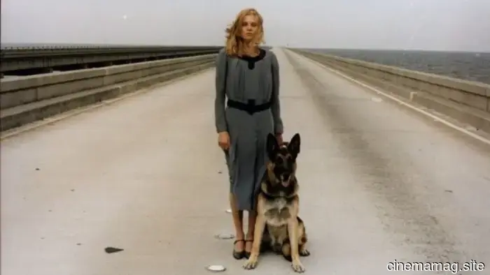 10 Must-Watch Italian Horror Films from the 1980s