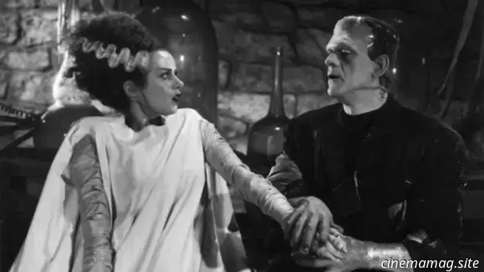 NECA's The Monster and His Mate 2-pack commemorates the 90th anniversary of The Bride of Frankenstein.