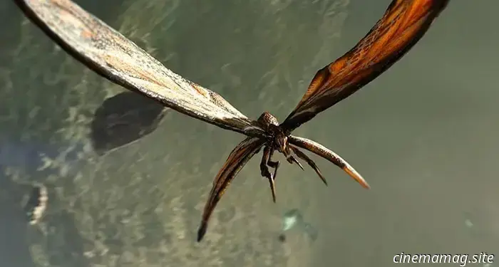 Godzilla x Kong: The New Empire, il set di action figure Mothra e Suko della serie Exquisite Basic svelato da Hiya Toys