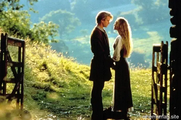The 17 Most Persuasive Movie Couples in Cinematic History