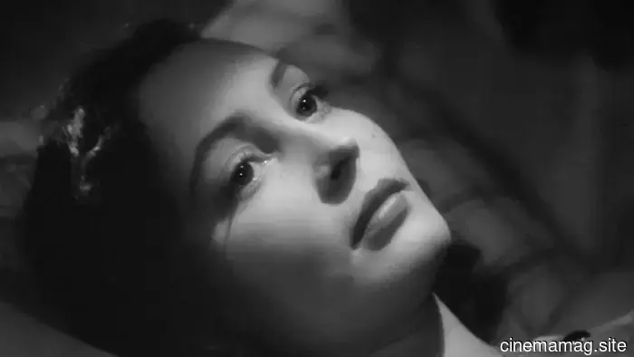 A Decade of Nitrate Picture Show: A Spiritual Journey into the Essence of Cinema