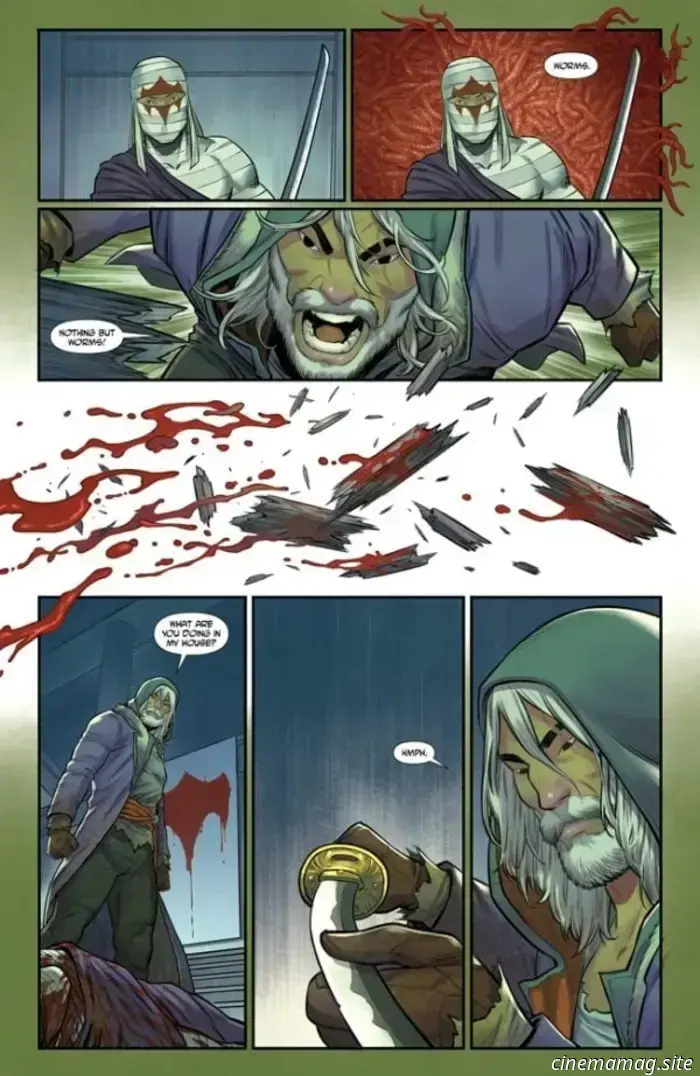 Las Tortugas Ninja: Shredder #1 - Avance del cómic