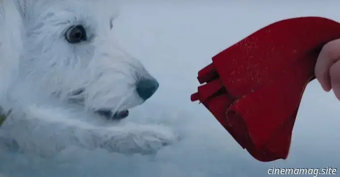 Una breve historia de Krypto, el perro de Superman