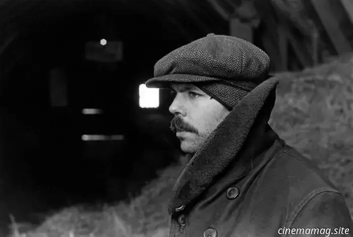 Now Available for Streaming: Materialists, Dangerous Animals, Little Buddha, Northern Lights, and More